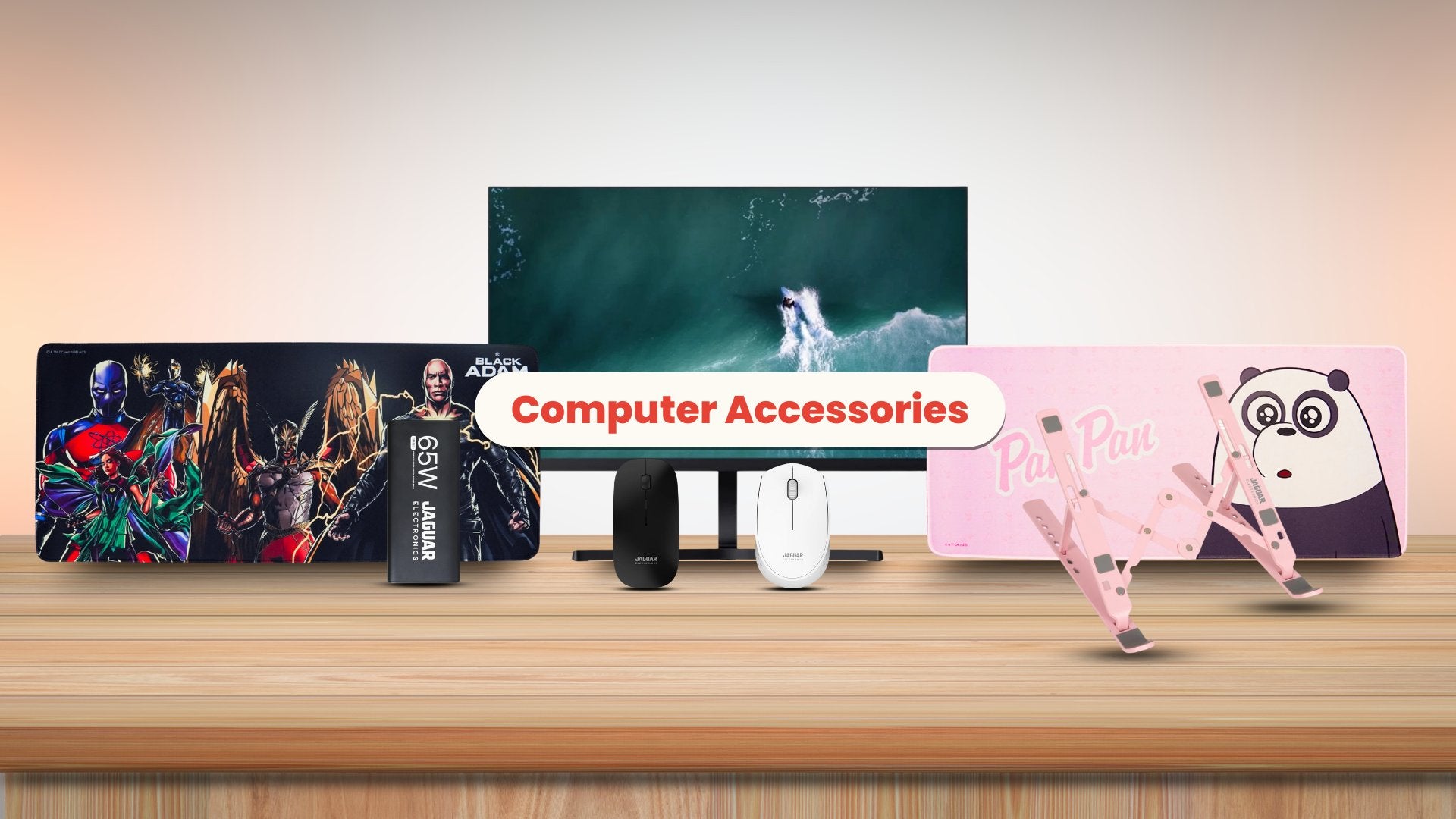 Computer Accessories