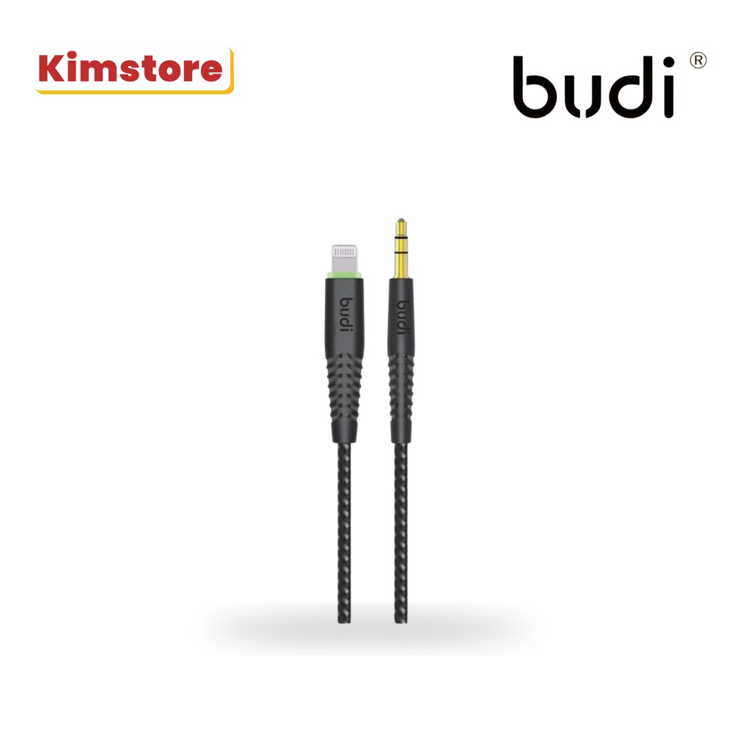 BUDI 150 LXA Lightning to AUX Cable